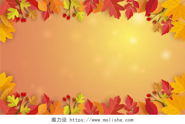 简约立秋秋天秋分秋季树叶边框矢量背景素材